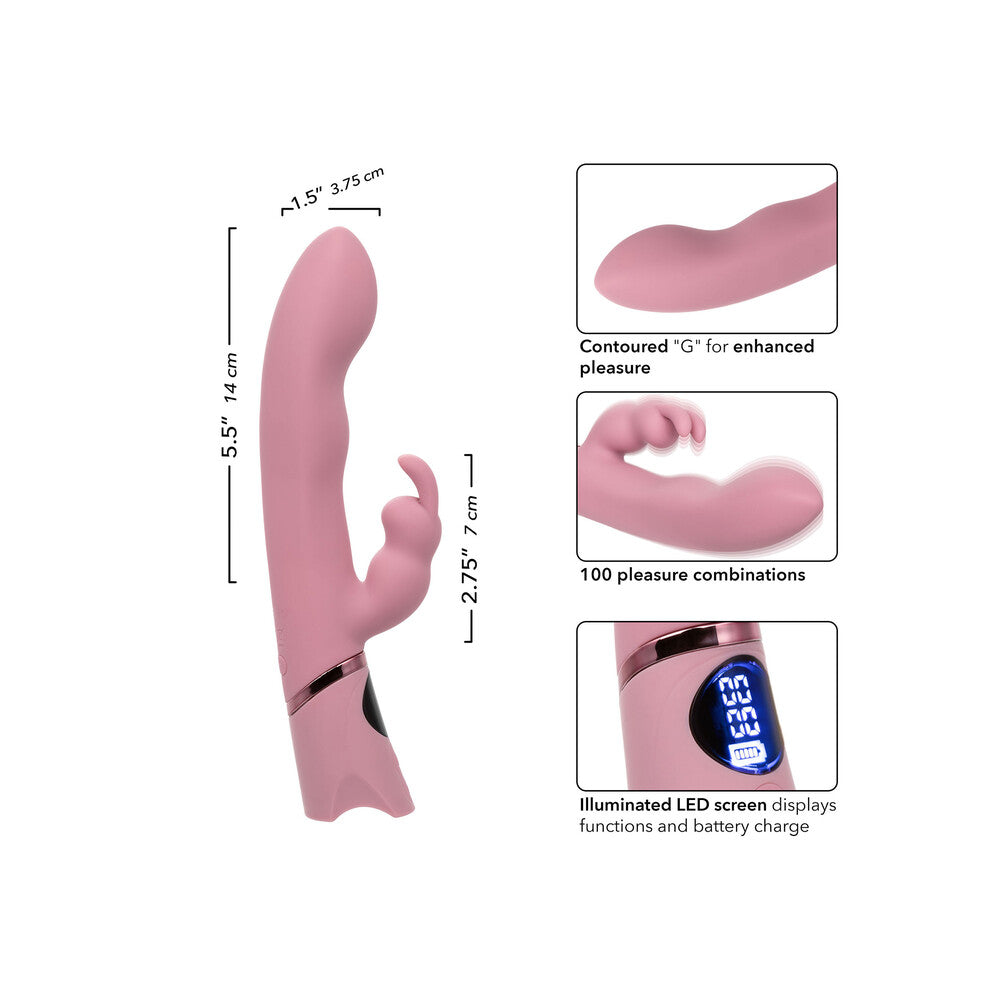 Orgasmatron Digital GBunny Vibrator